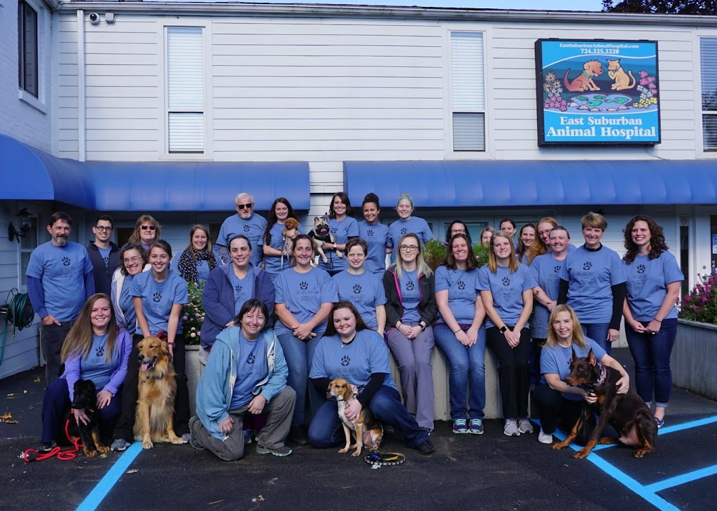 East Suburban Animal Hospital | 5051 Old William Penn Hwy, Export, PA 15632, USA | Phone: (724) 325-3220