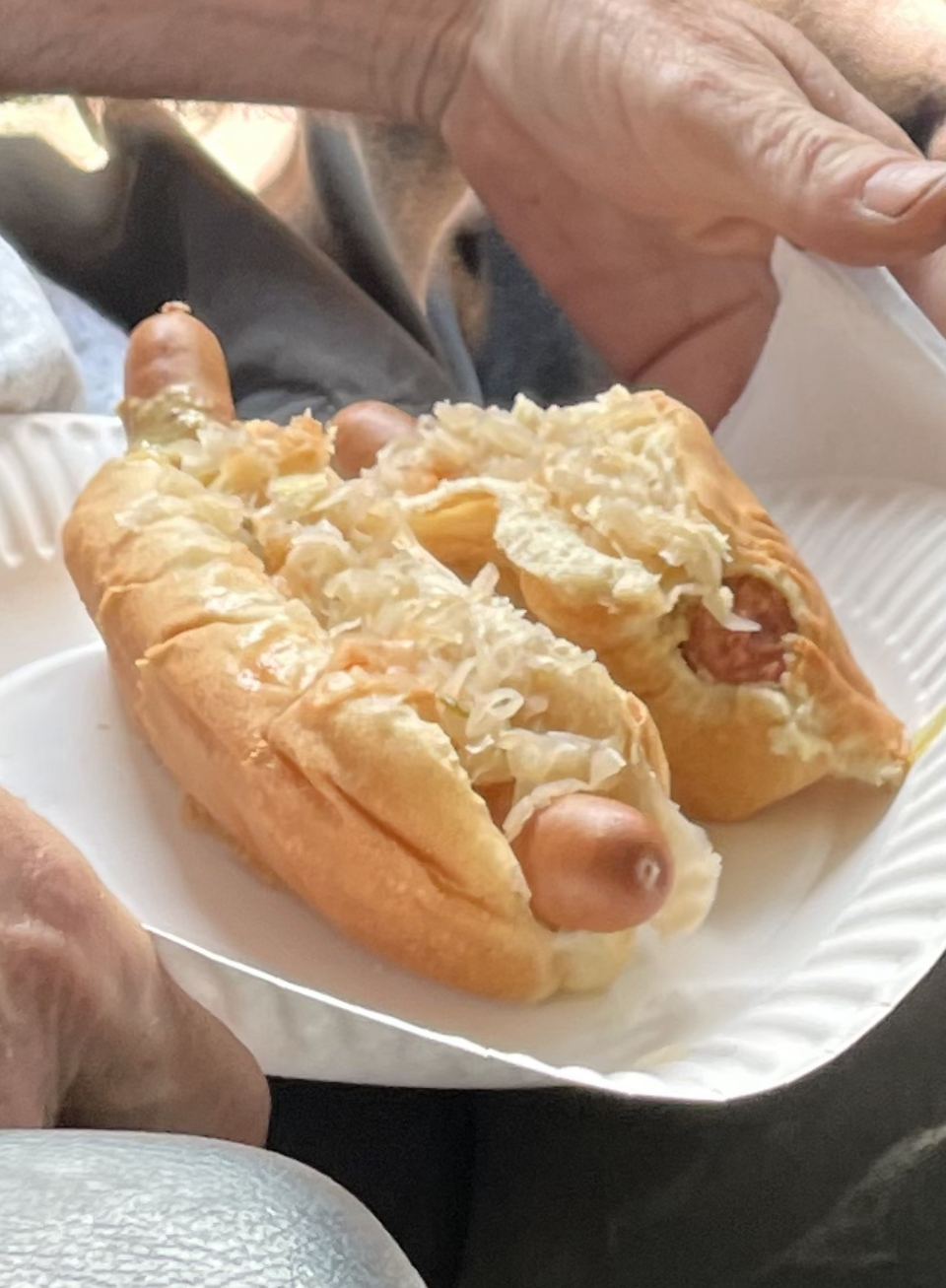 Sabrett Hot Dogs | 9 Smith St, Englewood, NJ 07631, USA | Phone: (800) 722-7388