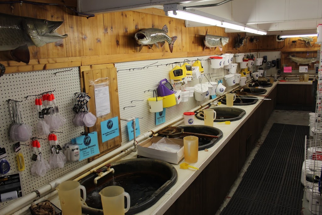 Blue Ribbon Bait & Tackle | 1985 Geneva Ave N, Oakdale, MN 55128, USA | Phone: (651) 777-2421