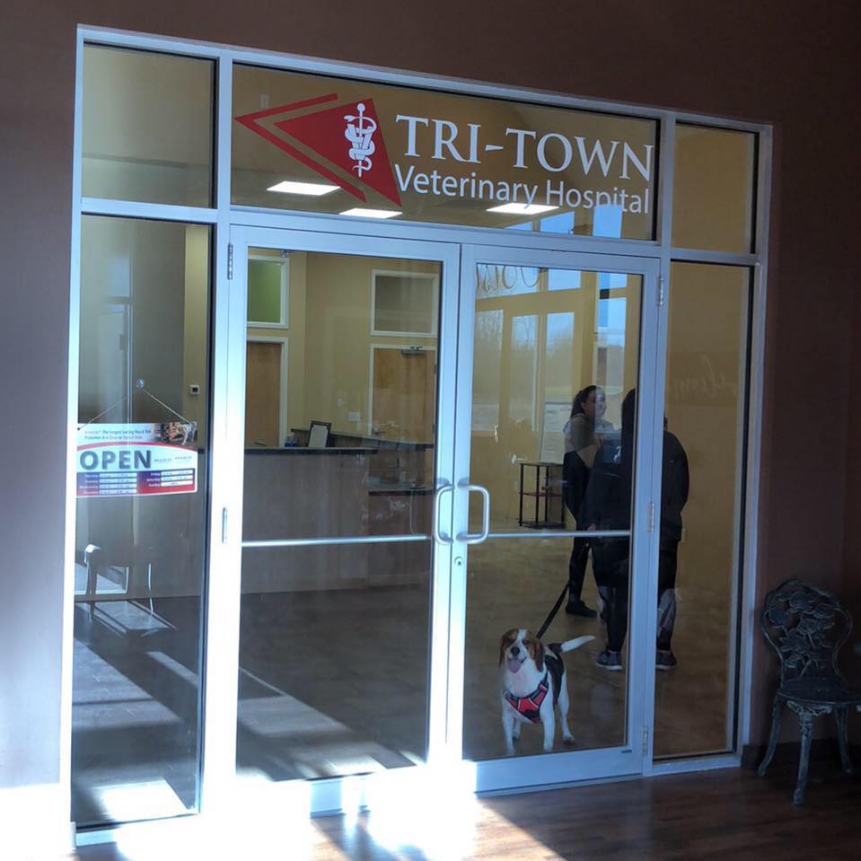 Tri-Town Veterinary Hospital | 2724 Transit Rd, West Seneca, NY 14224, USA | Phone: (716) 674-1003