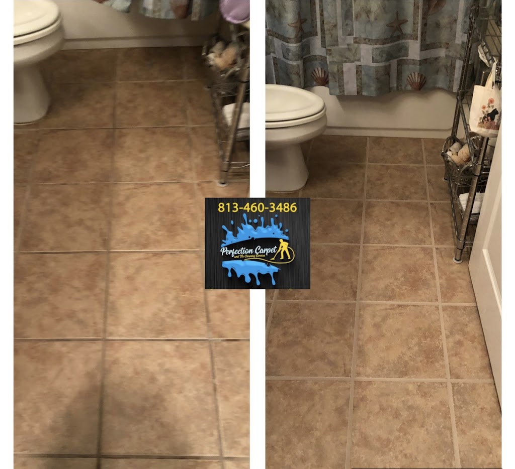 Perfection Carpet and Tile Cleaning Services | 11619 Tropical Isle Ln, Riverview, FL 33579, USA | Phone: (813) 460-3486