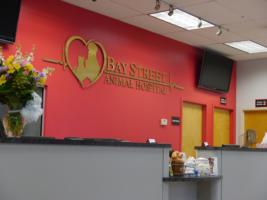 Bay Street Animal Hospital | 999 Bay St, Staten Island, NY 10305, USA | Phone: (718) 420-9100