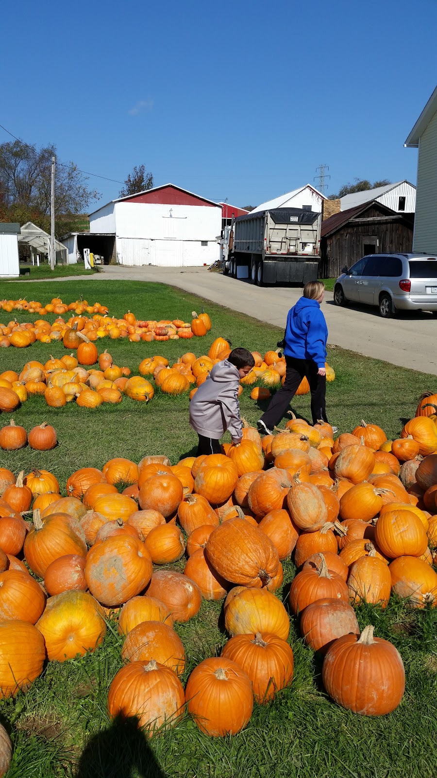 Myers Pickle Farm | 969 PA-66, Leechburg, PA 15656, USA | Phone: (724) 842-1691