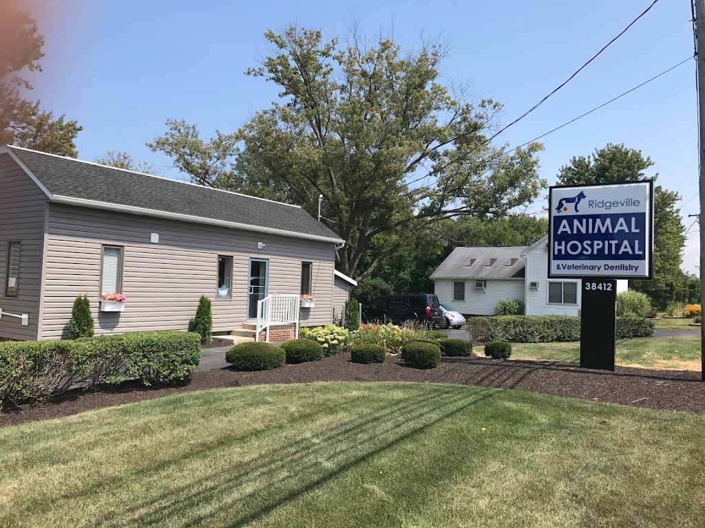 Ridgeville Animal Hospital | 38412 Center Ridge Rd, North Ridgeville, OH 44039, USA | Phone: (440) 327-0200