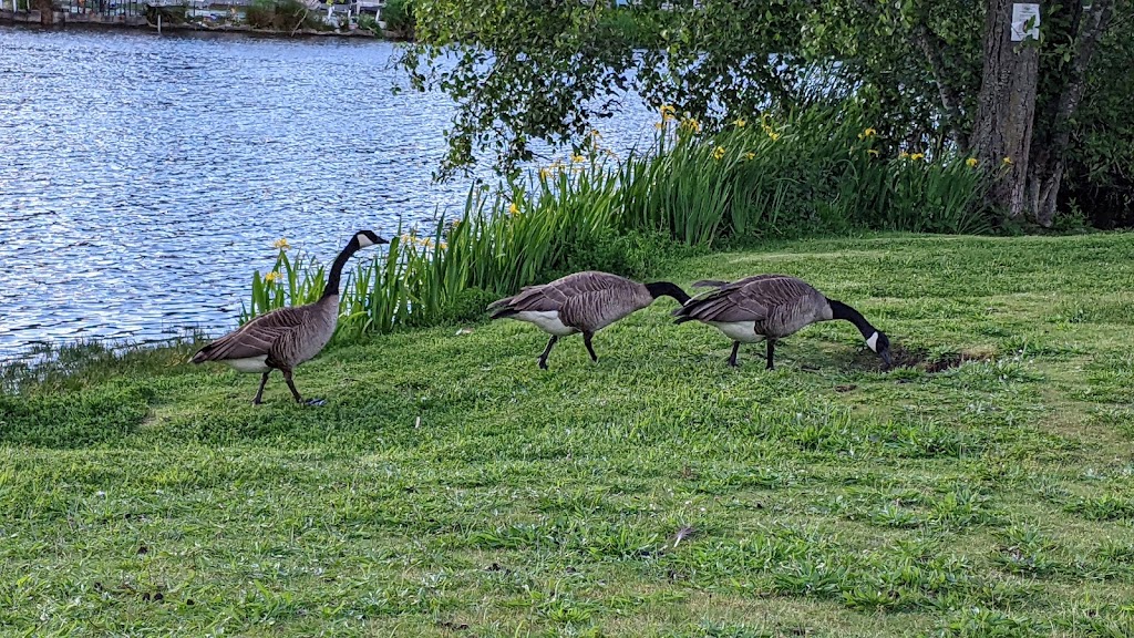 Treasure Island Park (Private) | SW 325th St, Federal Way, WA 98023, USA | Phone: (253) 838-0464