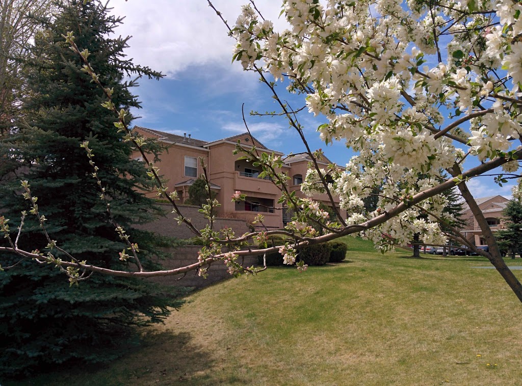 Pine Bluffs Apartments | 6470 Timber Bluff Point, Colorado Springs, CO 80918, USA | Phone: (719) 260-0184