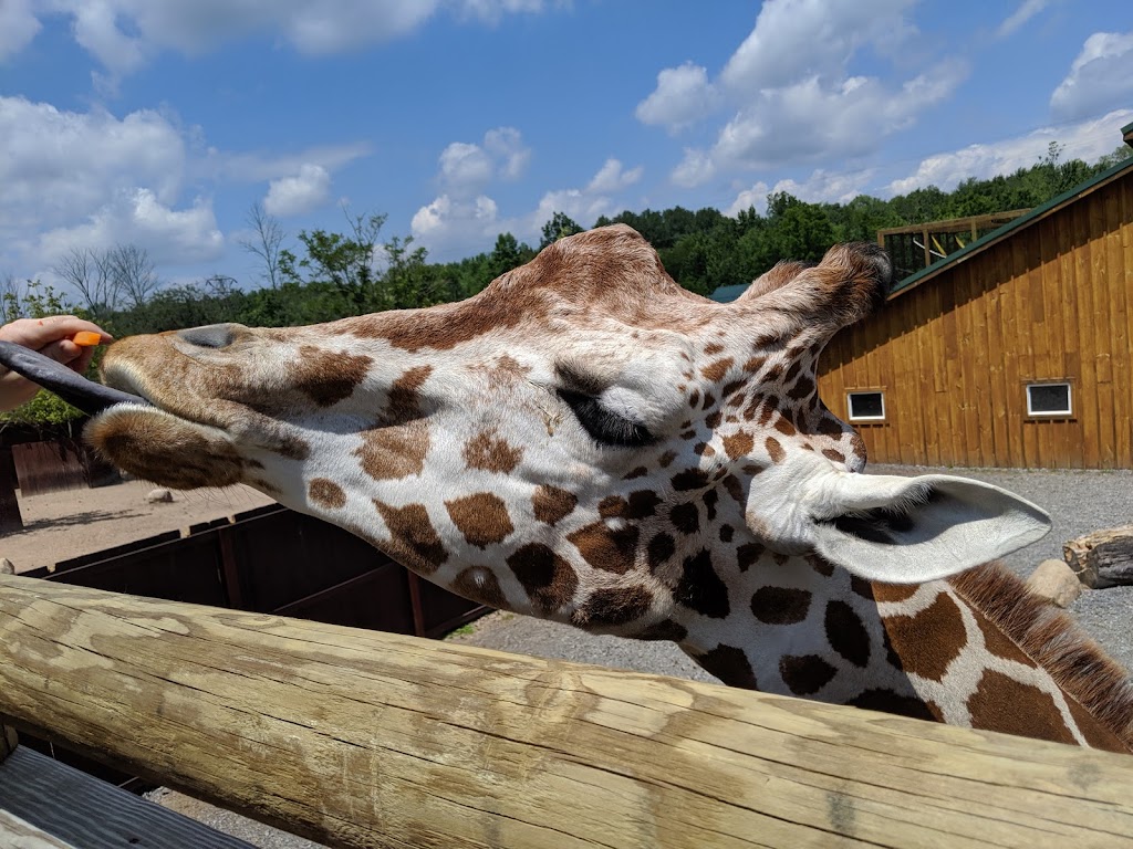 The Wild Animal Park | 7621 Lakeport Rd, Chittenango, NY 13037, USA | Phone: (315) 510-3347