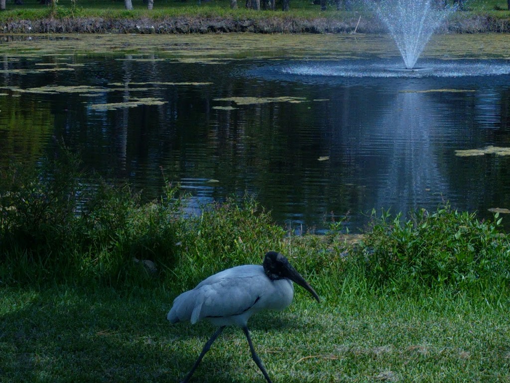 Bay Pines National Cemetery | 10000 Bay Pines Blvd, St. Petersburg, FL 33708, USA | Phone: (727) 319-6479