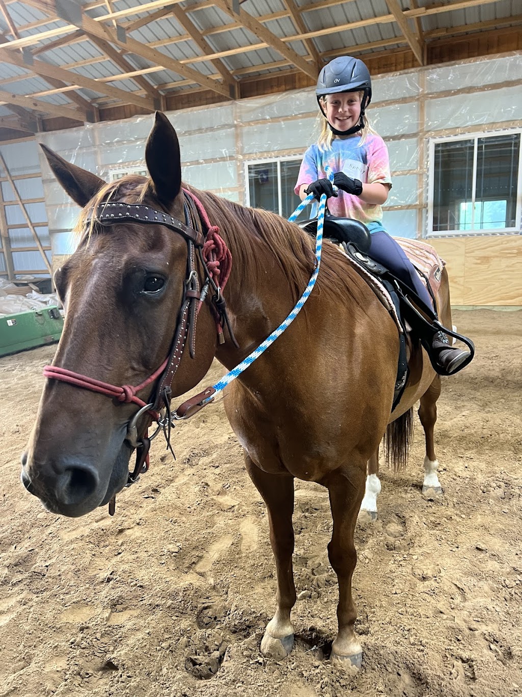 Hearts & Horses Equine Center LLC | 1668 313th Ave NW, Cambridge, MN 55008, USA | Phone: (763) 402-2106