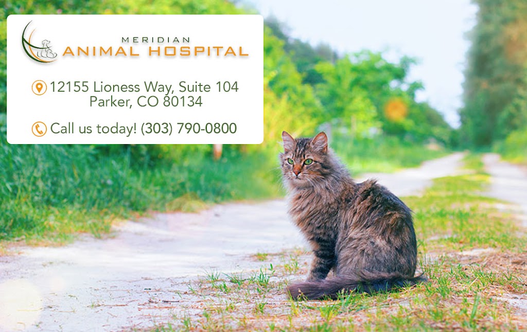 Meridian Animal Hospital | 12155 Lioness Way #104, Parker, CO 80134, USA | Phone: (303) 790-0800