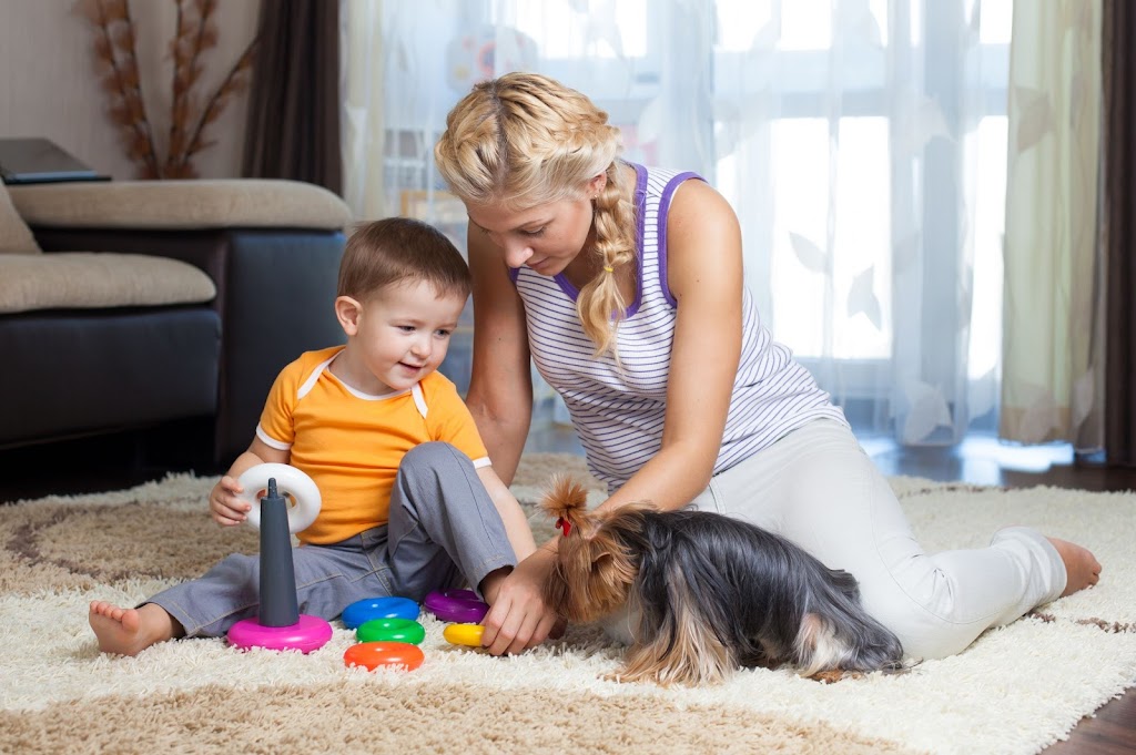 Amazing Carpet Care - Syracuse | 133 EMS T48 Ln, Syracuse, IN 46567, USA | Phone: (574) 834-1724