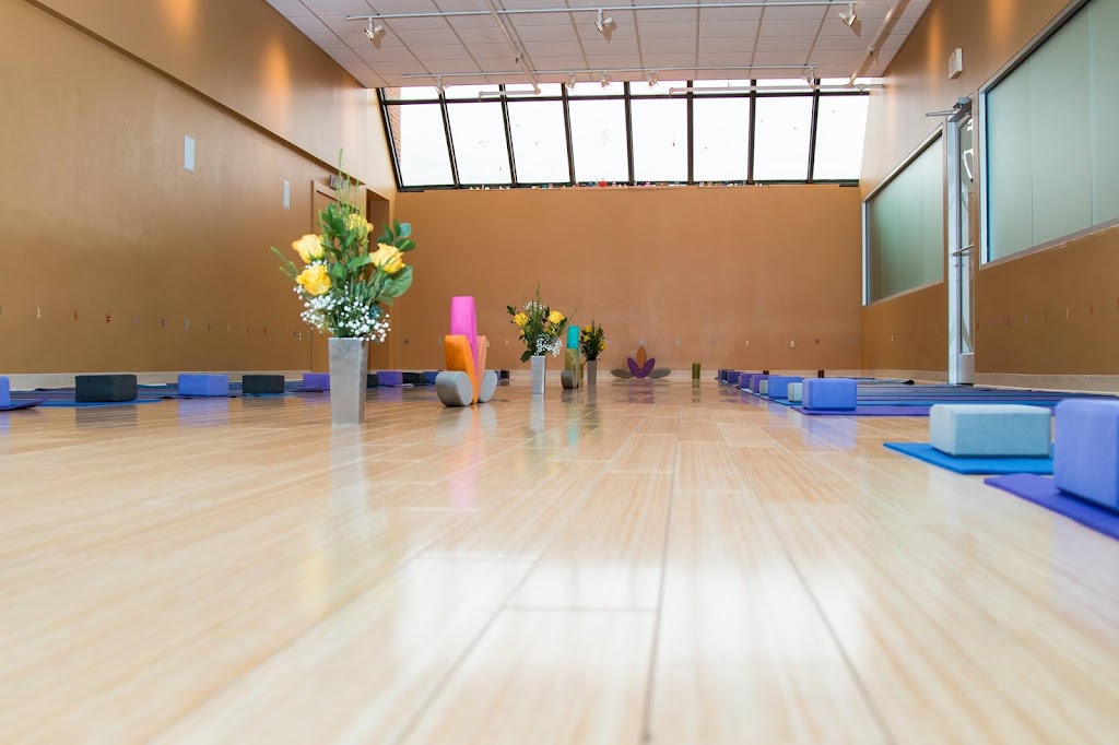 Updog Yoga | 210 W University Dr, Rochester, MI 48307, USA | Phone: (248) 608-6668