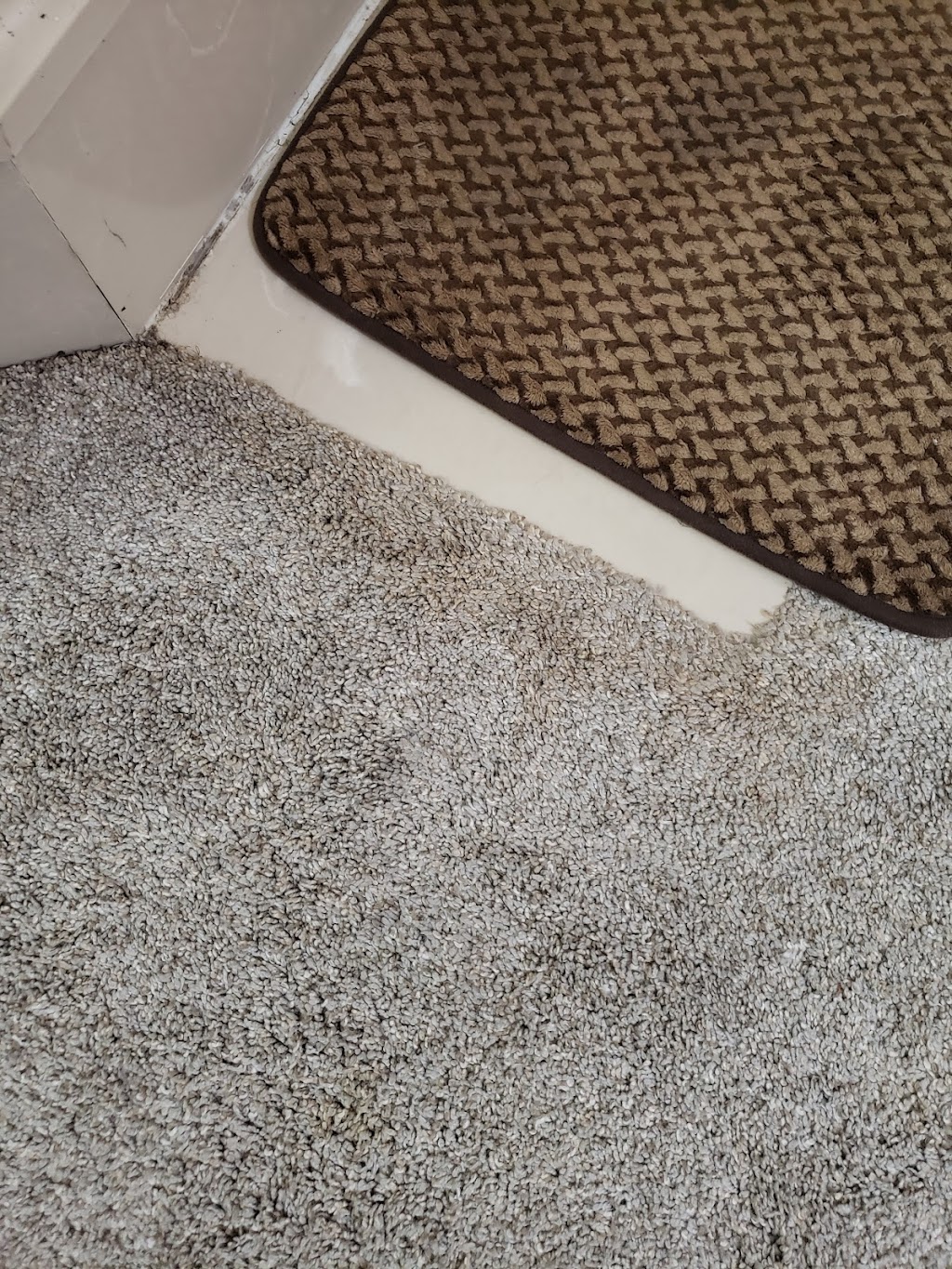 Trinity Carpet Cleaning | 6460 Wells Grove Dr, Bartlett, TN 38135, USA | Phone: (901) 643-6735