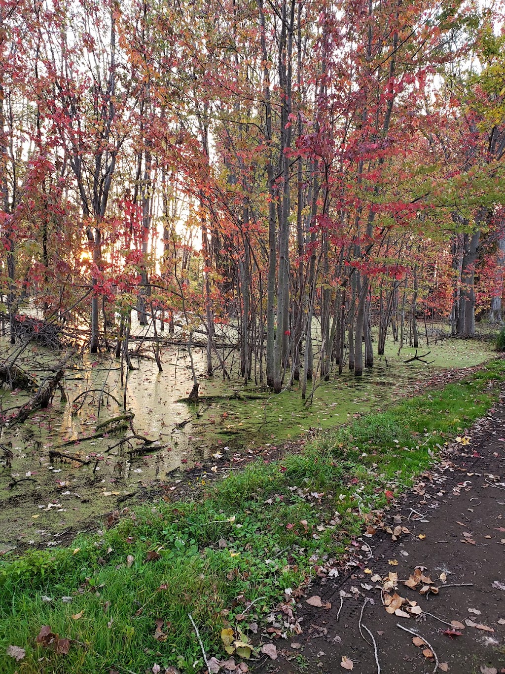 Lake St. Clair Metropark Nature Center | 31300 Metro Parkway, Harrison Twp, MI 48045, USA | Phone: (586) 463-4332