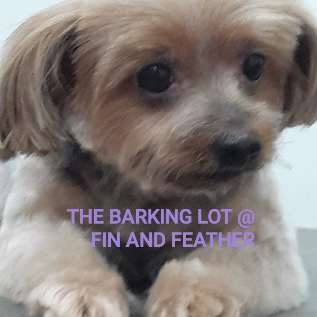The Barking Lot at Fin&Feather@ Lakeside | 5208 Lakeside Ave, Richmond, VA 23228, USA | Phone: (804) 262-1801