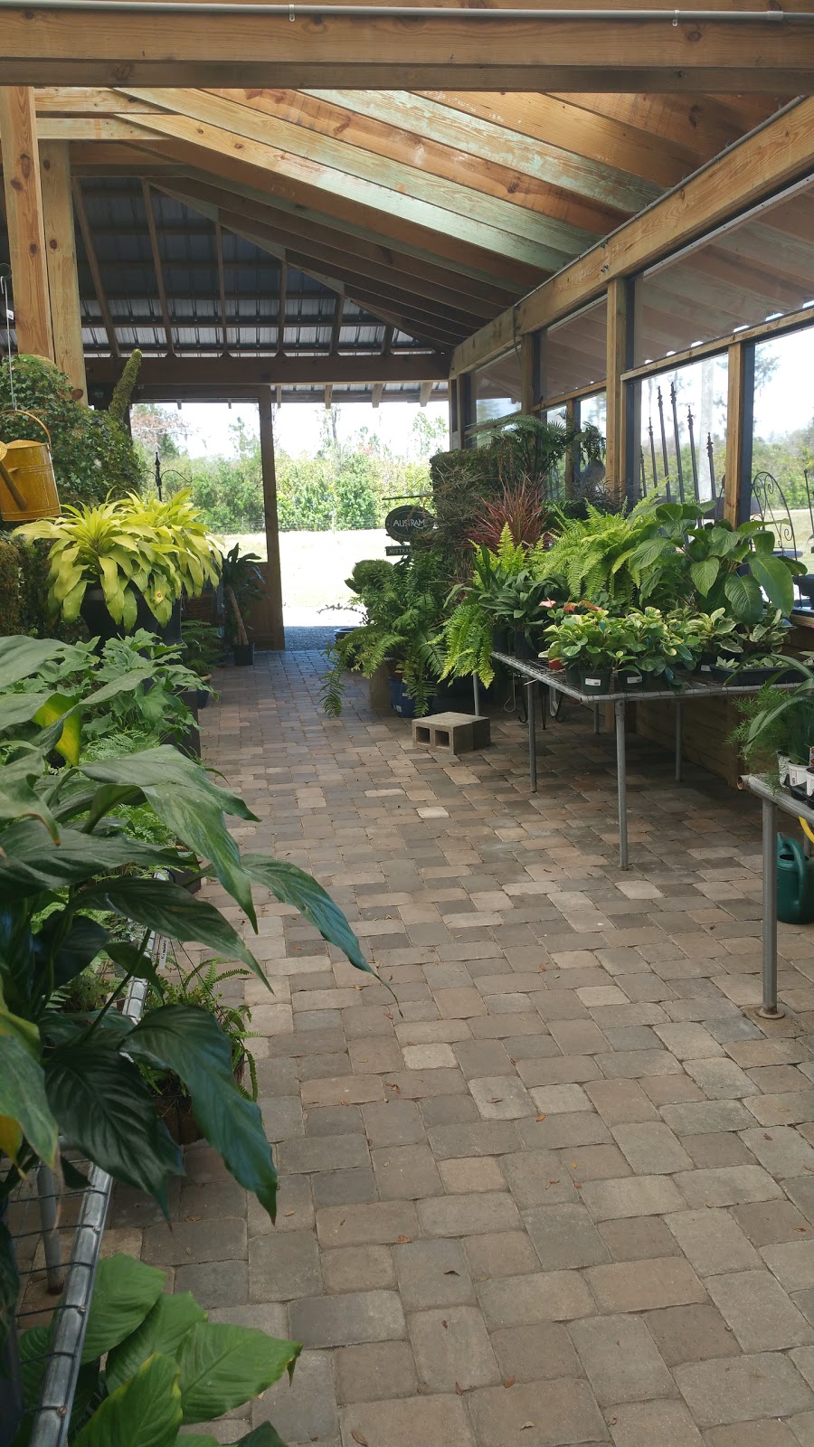 Mariposa Nursery Inc | 5020 Lorraine Rd #5301, Bradenton, FL 34211, USA | Phone: (941) 747-0499