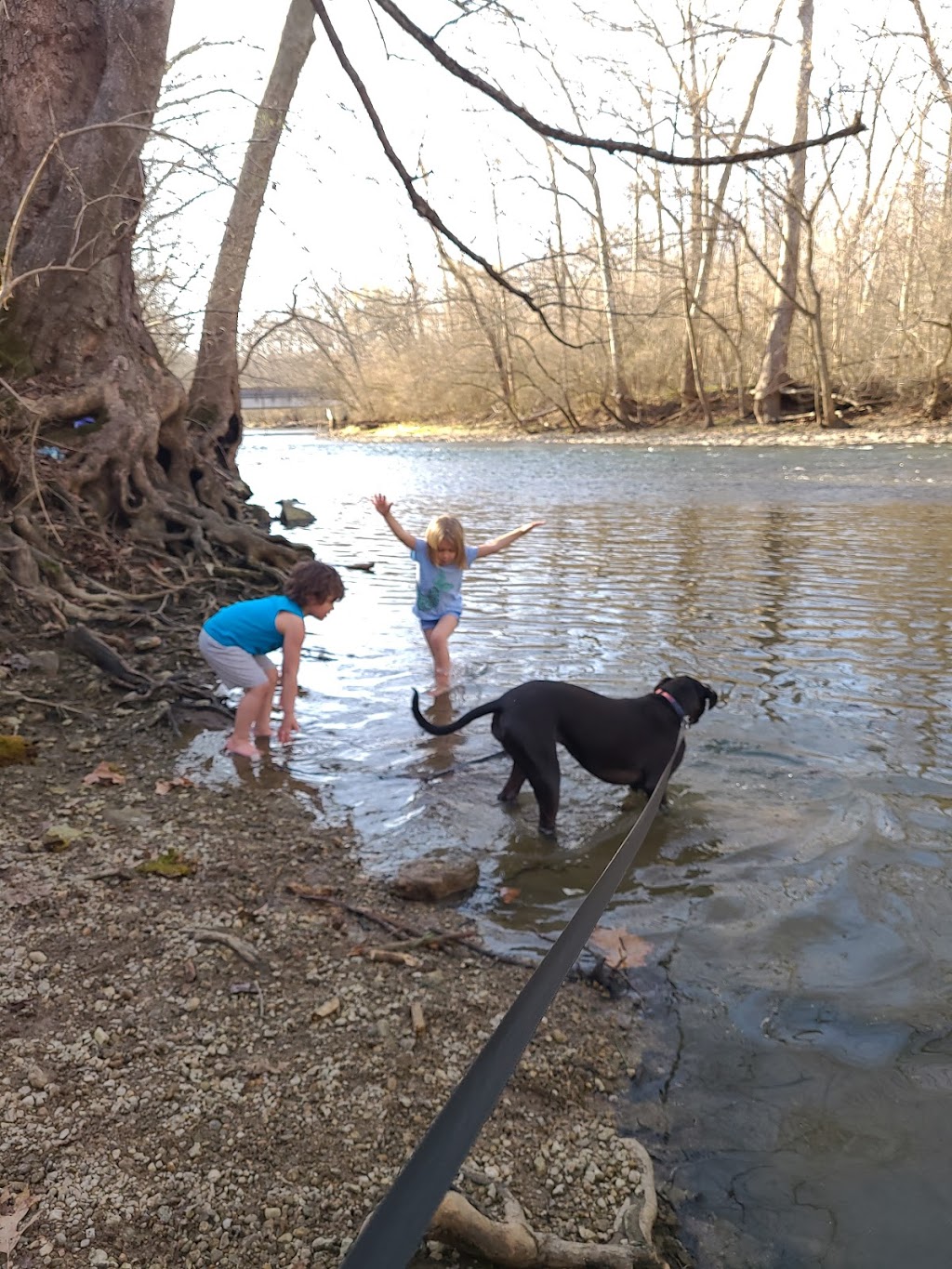 Caesar Creek Gorge State Nature Preserve | 4080 Corwin Rd, Oregonia, OH 45054 | Phone: (614) 265-6561