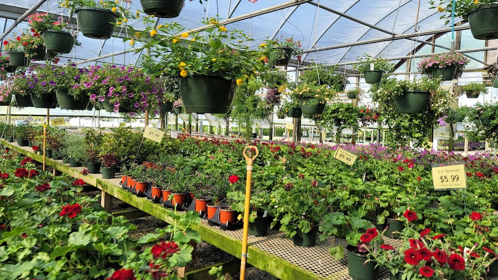 Tarheel Nursery | 7160 Old Stage Rd N, Angier, NC 27501, USA | Phone: (919) 639-4598