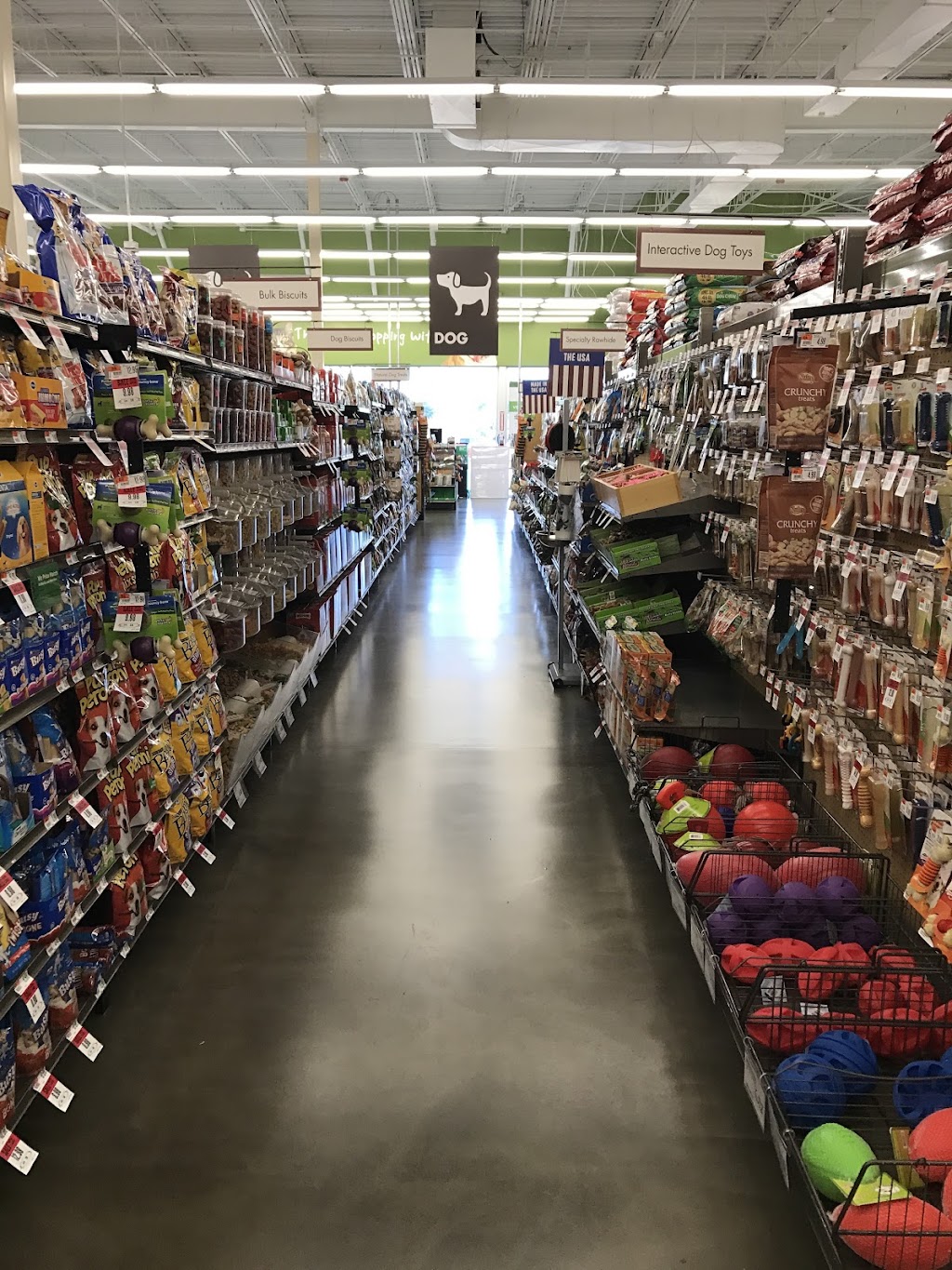 Pet Supplies Plus Lorain | 4326 N Leavitt Rd G, Lorain, OH 44053, USA | Phone: (440) 960-0340