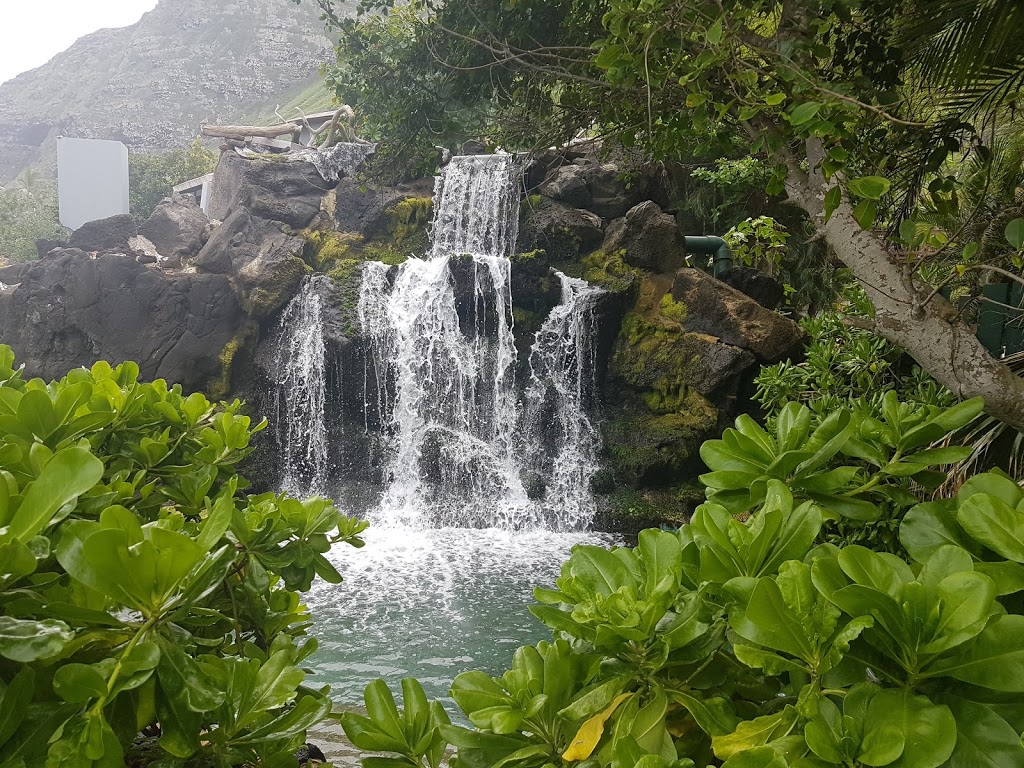 Sea Life Park Hawaii | 41-202 Kalanianaʻole Hwy, Waimānalo, HI 96795 | Phone: (808) 259-2500