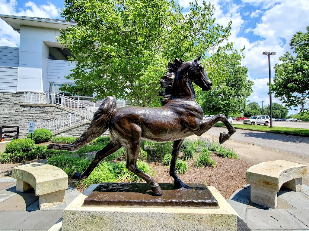 American Saddlebred Museum | 4083 Wing Commander Way Suite 150, Lexington, KY 40511, USA | Phone: (859) 259-2746