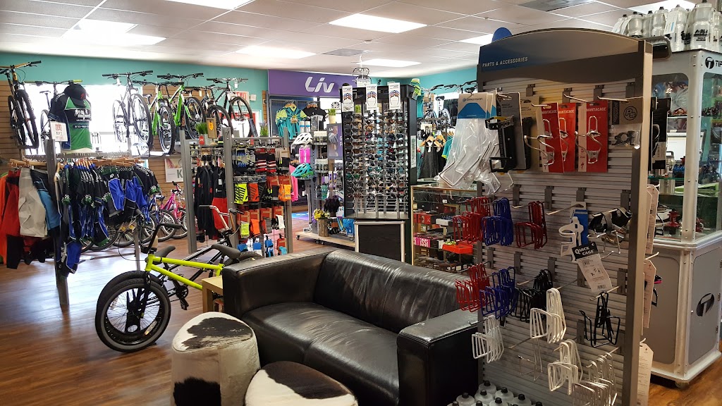 AJs Bikes, LLC | 1538 Bloomingdale Ave, Valrico, FL 33596 | Phone: (813) 685-2453