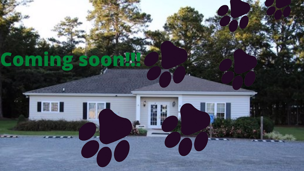 Animal Care of Mathews | 10746 Buckley Hall Rd, Mathews, VA 23109, USA | Phone: (804) 719-8693