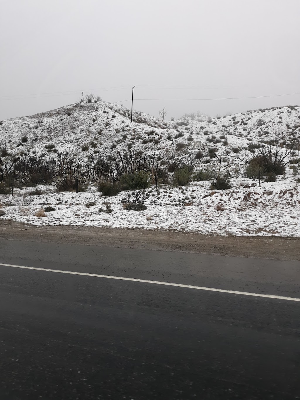 Three Pines Lodge & Resort Rentals | 39280 Big Bear Blvd, Big Bear Lake, CA 92315, USA | Phone: (909) 866-3105