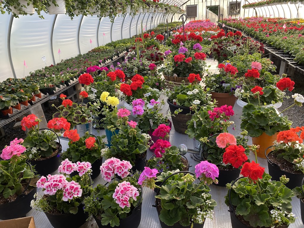 Condons Nursery | 7342 Woodbine Rd, Woodbine, MD 21797, USA | Phone: (443) 277-4500