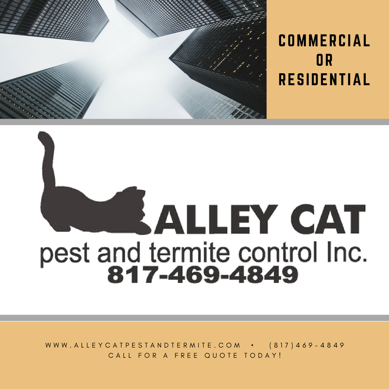 Alley Cat Pest & Termite Inc | N Main St, Springtown, TX 76082, USA | Phone: (817) 469-4849