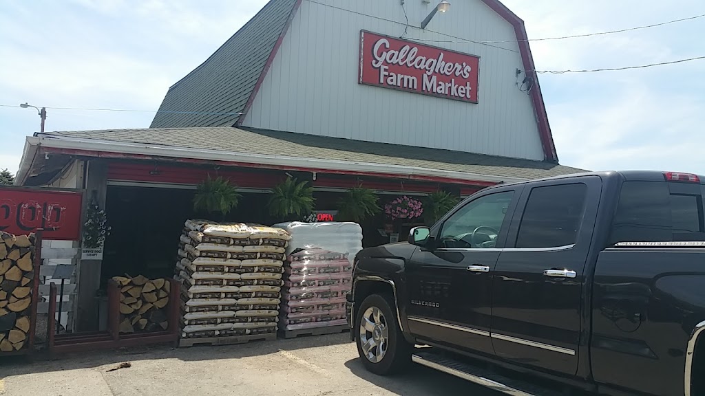 Gallaghers Farm Market | 346 Hwy 20 W, Fenwick, ON L0S 1C0, Canada | Phone: (905) 892-0698