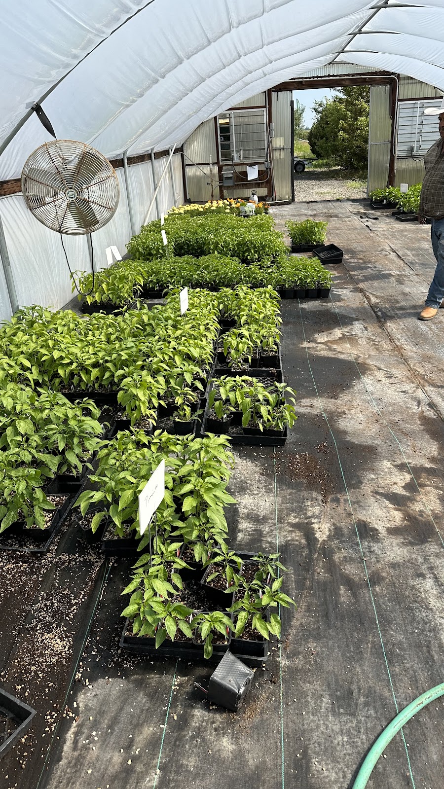 Campbell Farms | 4676 OR-211, Woodburn, OR 97071, USA | Phone: (503) 634-2706