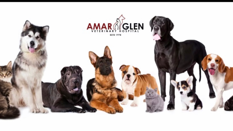 Amar Glen Veterinary Hospital | 712 Glendora Ave, La Puente, CA 91744, USA | Phone: (626) 333-2282