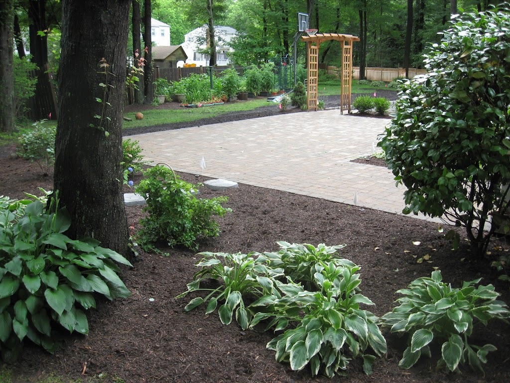 Caffrey Tree & Landscape | 2600 Route 22 East, Scotch Plains, NJ 07076, USA | Phone: (908) 889-6584