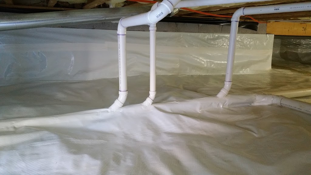 Dependable Pest Control | 6829 Ware House Rd, Gloucester, VA 23061, USA | Phone: (804) 693-5587