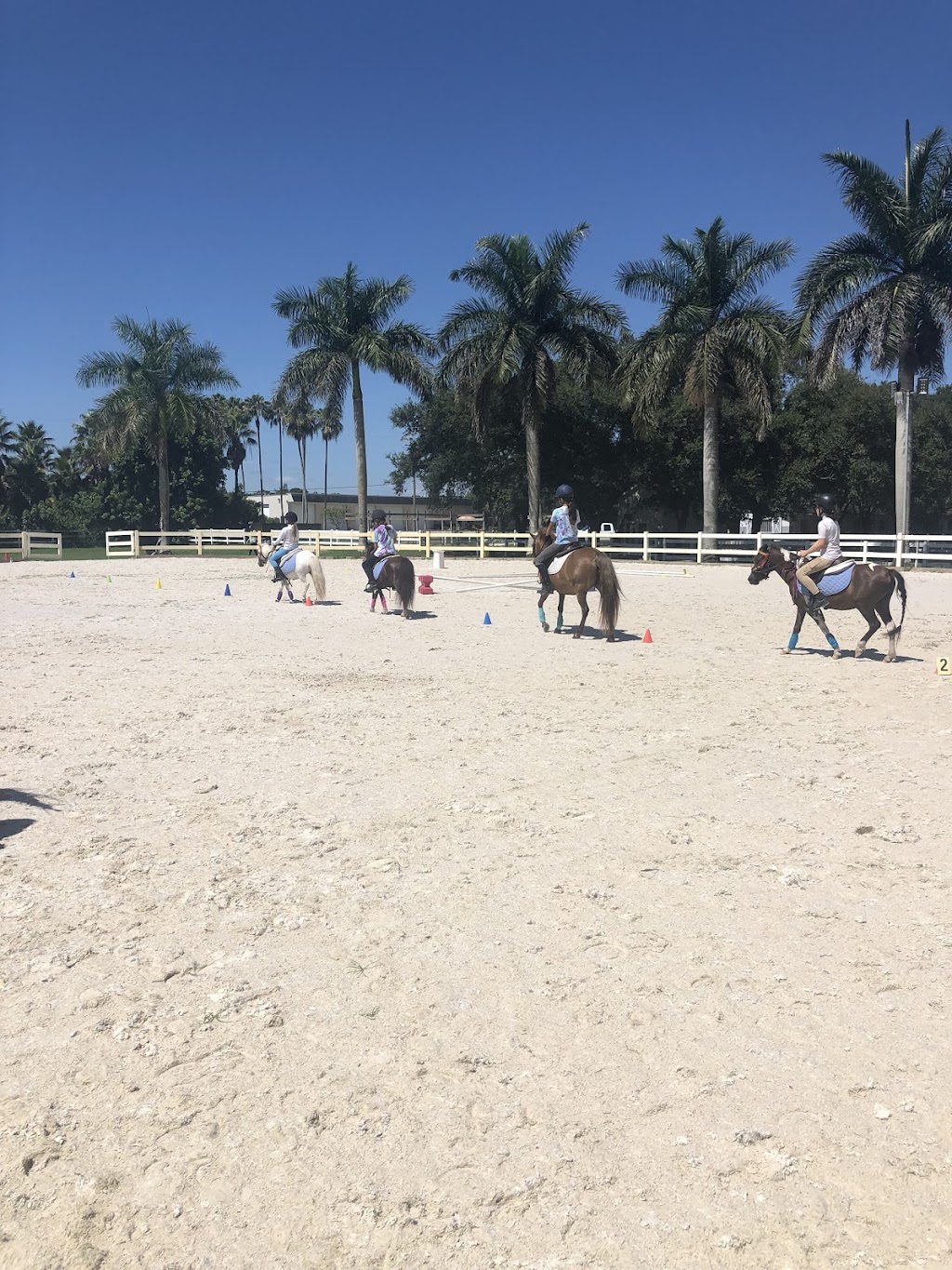 Capriola Equestrian | 2280 SW 154th Ave, Davie, FL 33326 | Phone: (754) 232-4250