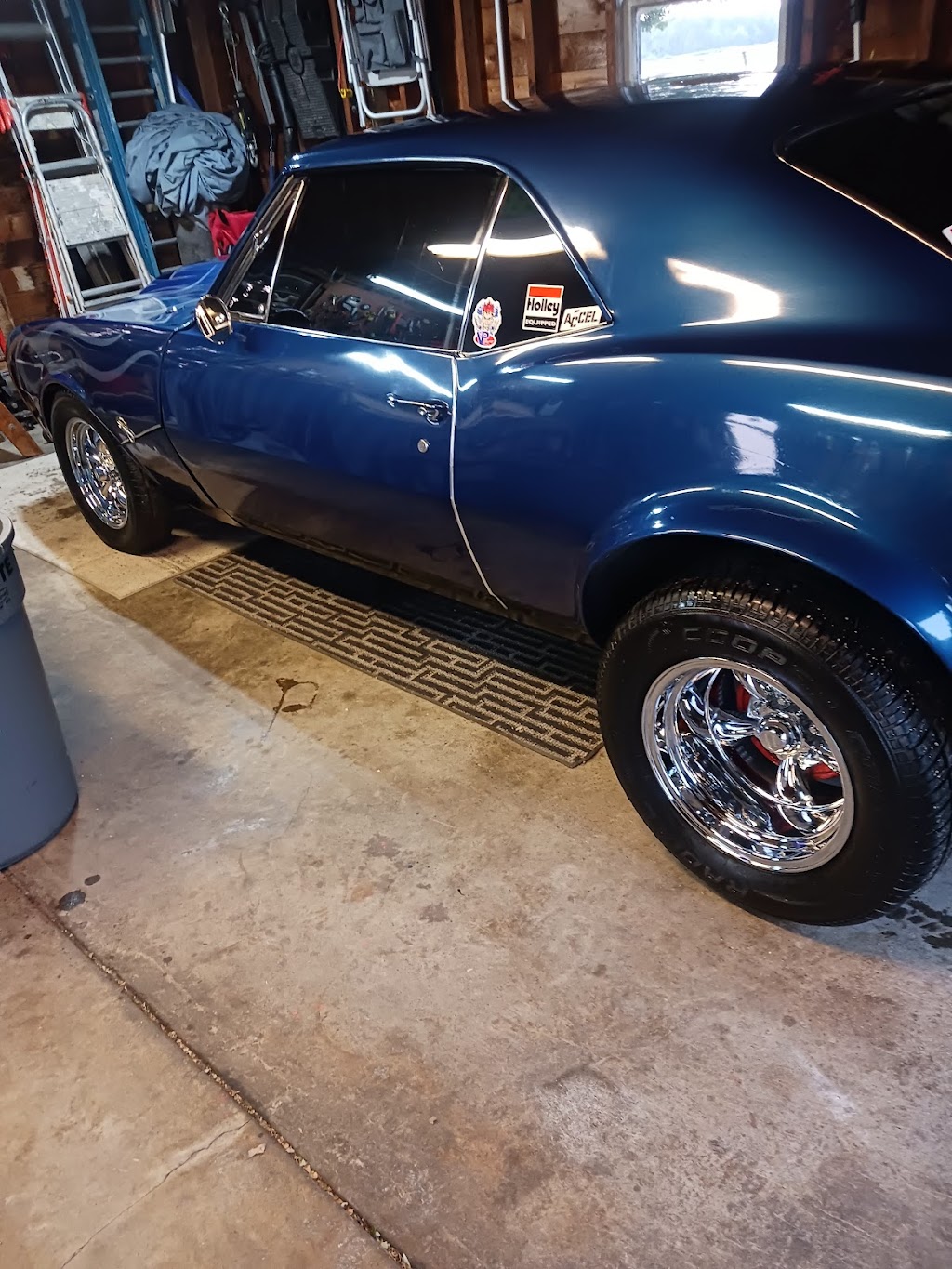 Wild Rides | 10775 Ridge Rd, Medina, NY 14103, USA | Phone: (585) 798-2266