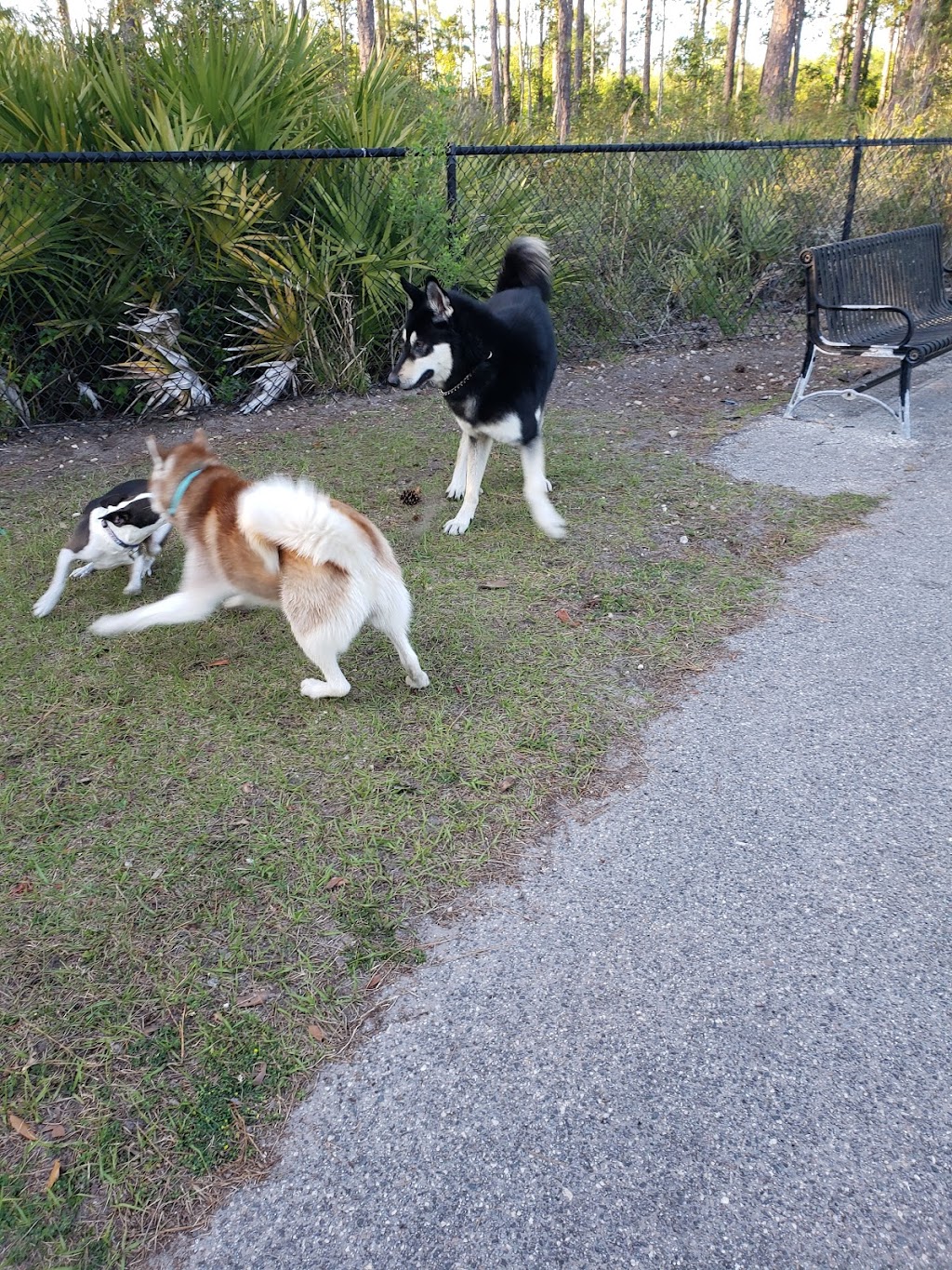 Nocatee Community Dog Park | 707 Nocatee Center Way, Ponte Vedra Beach, FL 32081, USA | Phone: (800) 662-2833