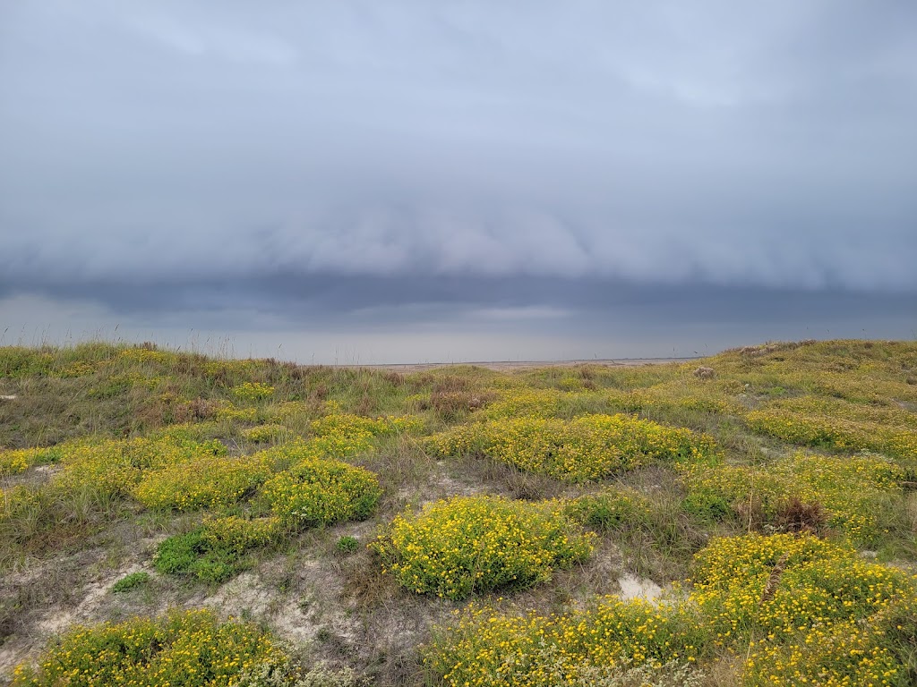 Padre Island National Seashore | 20301 Park Rd 22, Corpus Christi, TX 78418, USA | Phone: (361) 949-8069