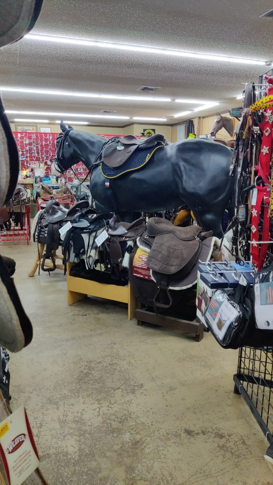 GIDDY-UP SADDLE SHOP | 490 Broad St, Masaryktown, FL 34604, USA | Phone: (352) 797-9716