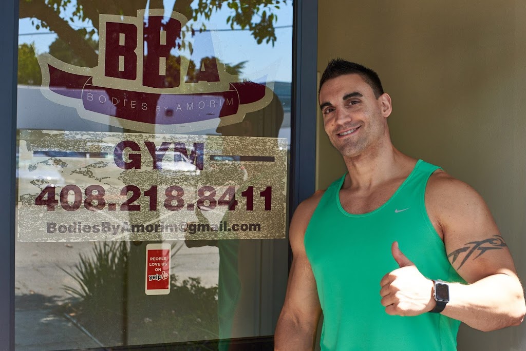 BBA Gym | 1242 Birchwood Dr, Sunnyvale, CA 94089, USA | Phone: (408) 218-8411