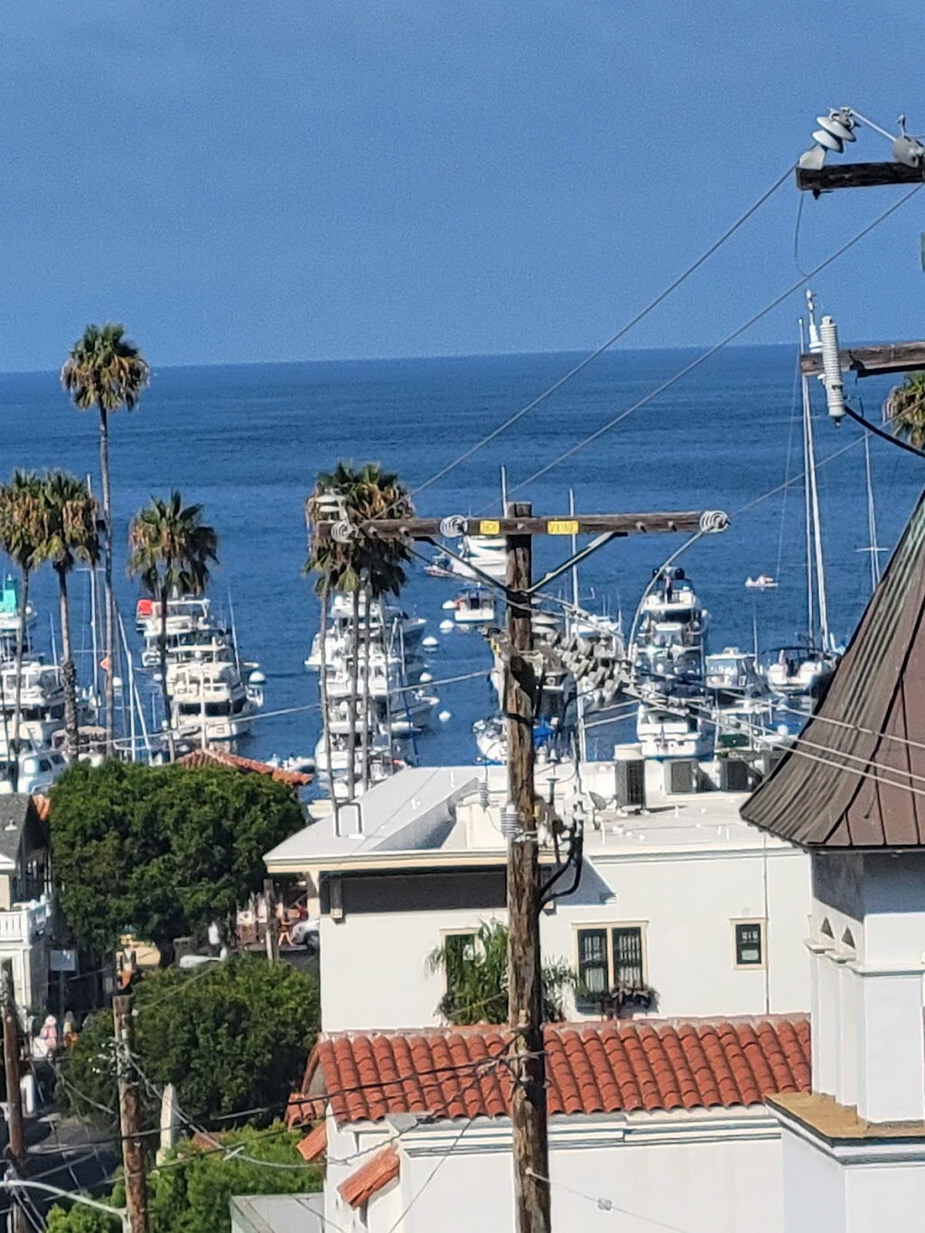 Catalina Hotel St Lauren | 231 Beacon St, Avalon, CA 90704, USA | Phone: (310) 510-2299