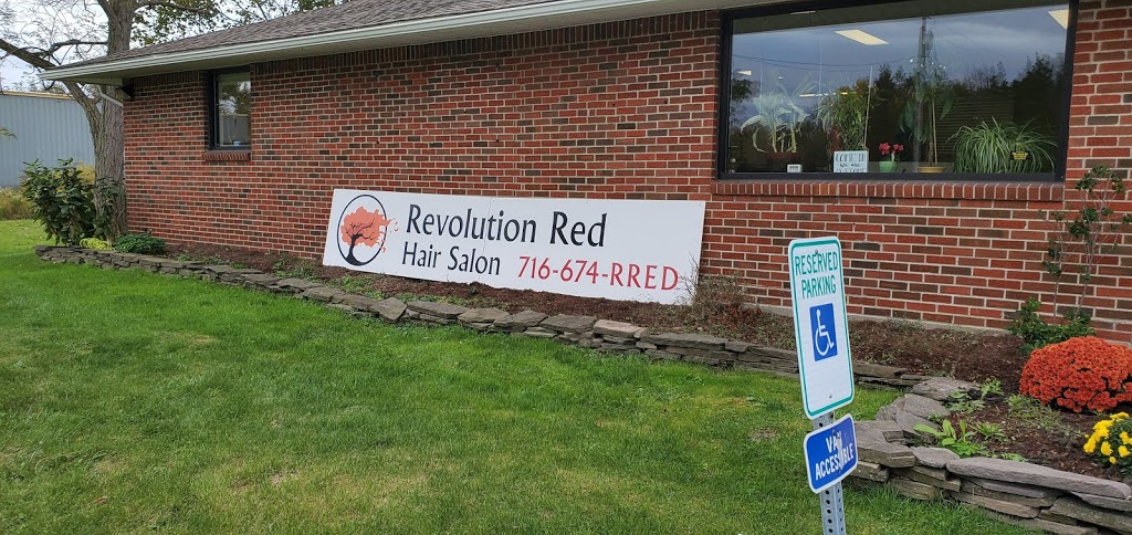 Revolution Red Hair Salon | 2861 Southwestern Blvd, Orchard Park, NY 14127, USA | Phone: (716) 674-7733