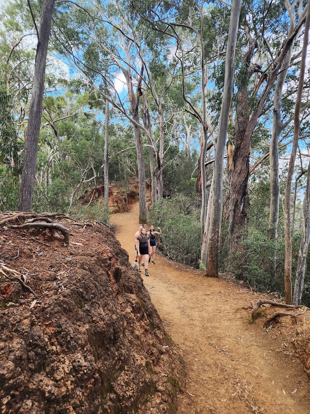 ʻAiea Loop Trailhead | 99-1849 Aiea Heights Dr, Aiea, HI 96701, USA | Phone: (808) 733-9104