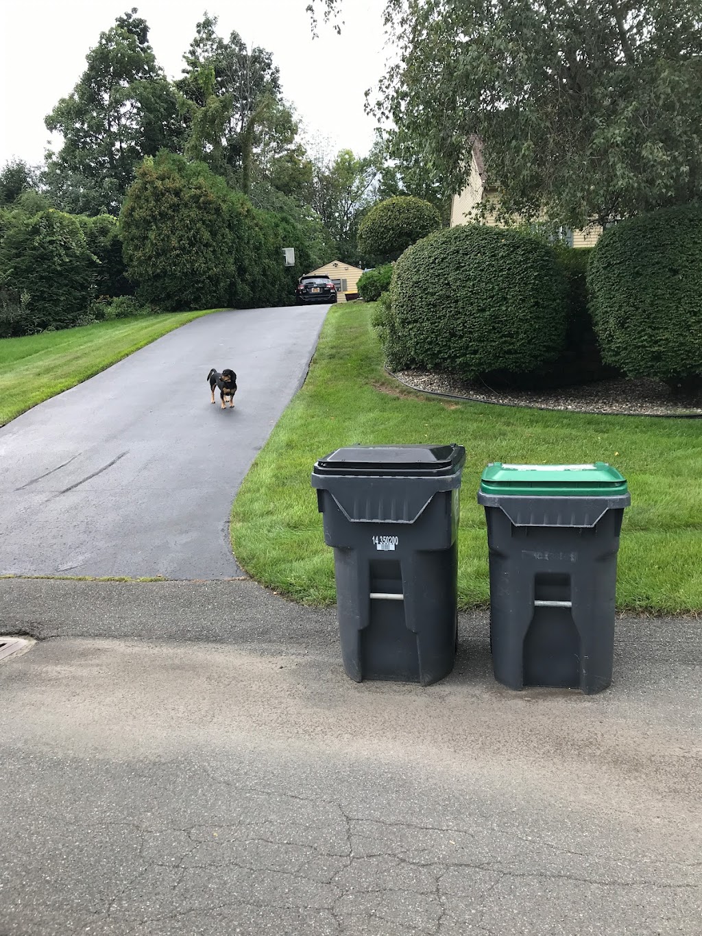 COUNTY WASTE - CLIFTON PARK | 1927 US-9, Clifton Park, NY 12065, USA | Phone: (518) 877-7007