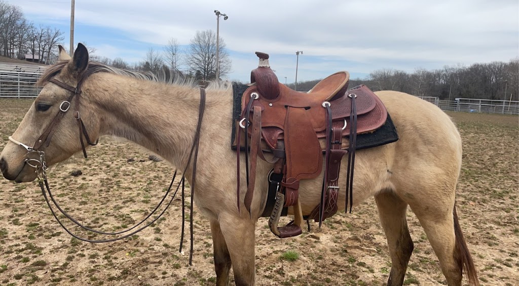 Robert Teskey Saddlery by Western Suppliers | 8500 Hwy 377 S. Suite 100, Pilot Point, TX 76258, USA | Phone: (940) 365-3188