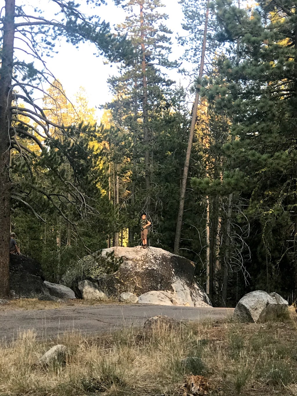 Ridge Campground | Truckee, CA 96161, USA | Phone: (530) 582-7892