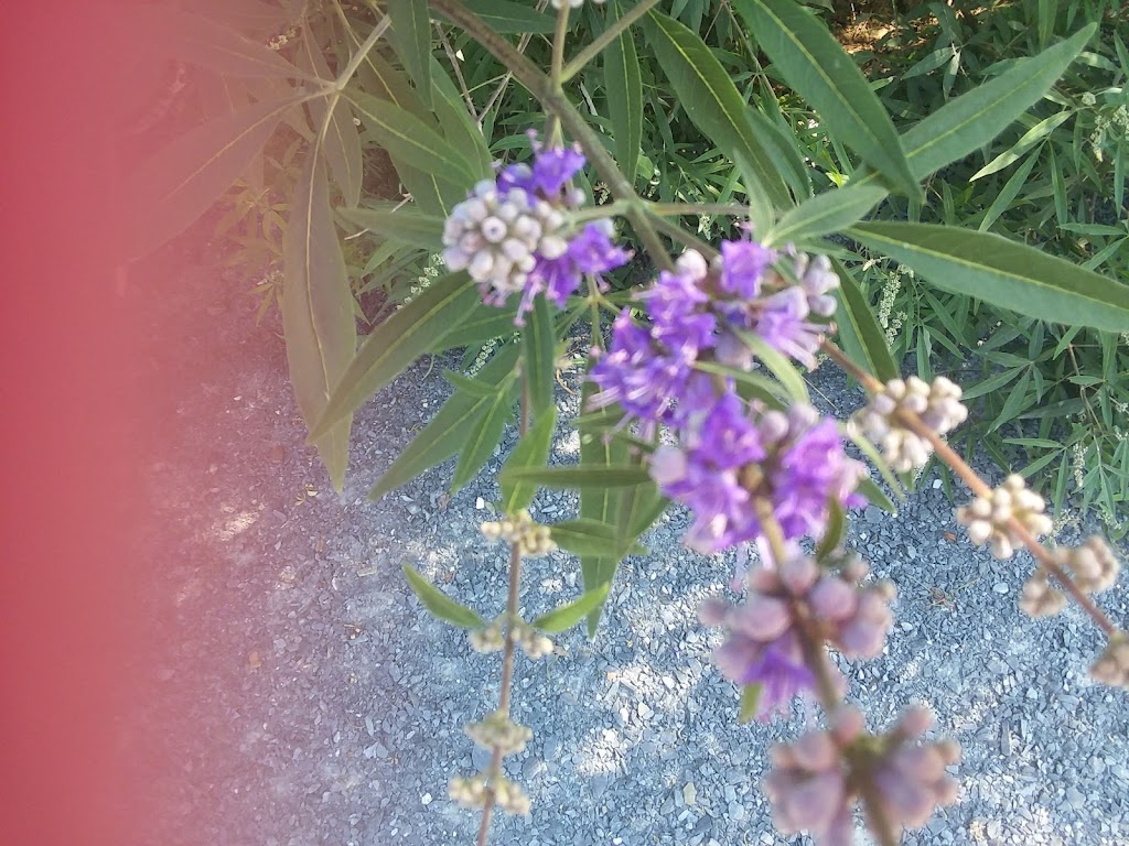 Clay Presnell Memorial Park | 5129 Seagrove Plank Rd, Asheboro, NC 27205, USA | Phone: (336) 873-7307