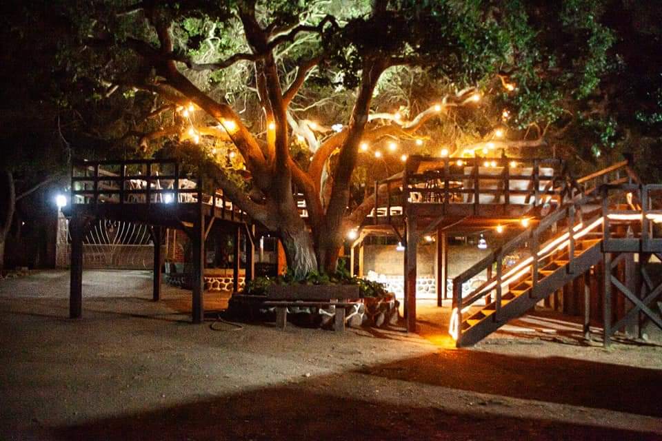 A LA SOMBRA DEL ARBOL | Benito Juárez 400, 22766 Villa de Juárez, B.C., Mexico | Phone: 646 327 4048