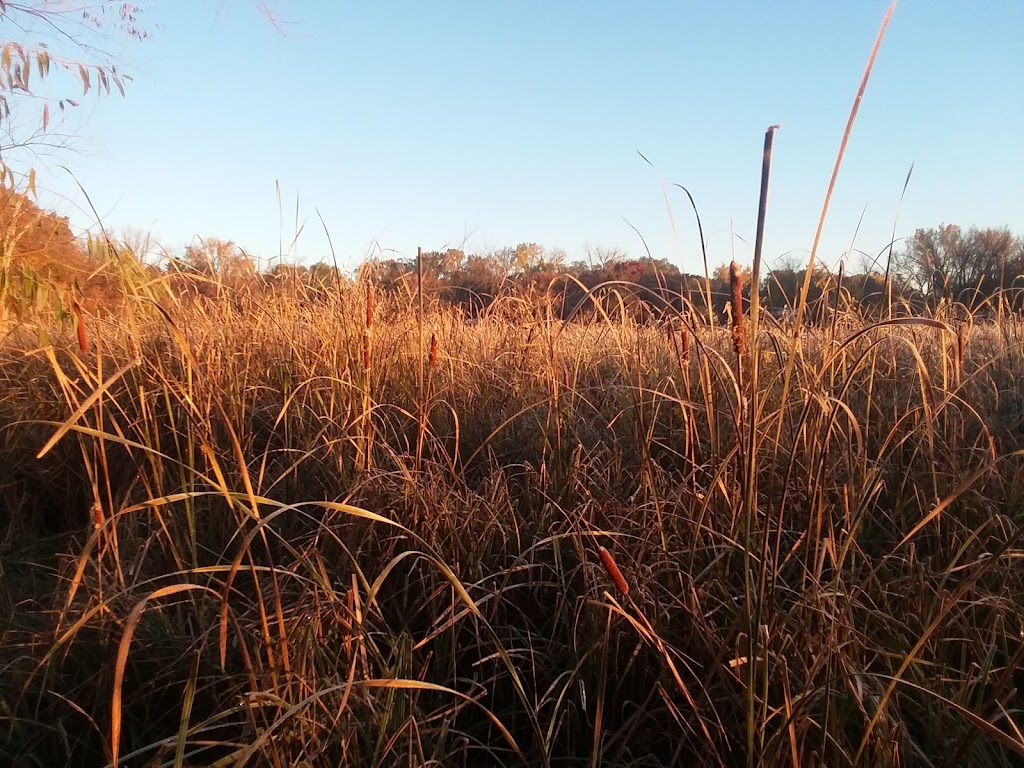 Woodview Off-leash Dog Area | Larpenteur Ave W, Roseville, MN 55113, USA | Phone: (651) 748-2500